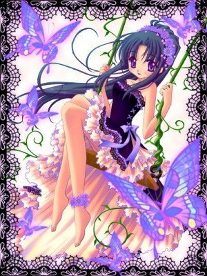 Papillon