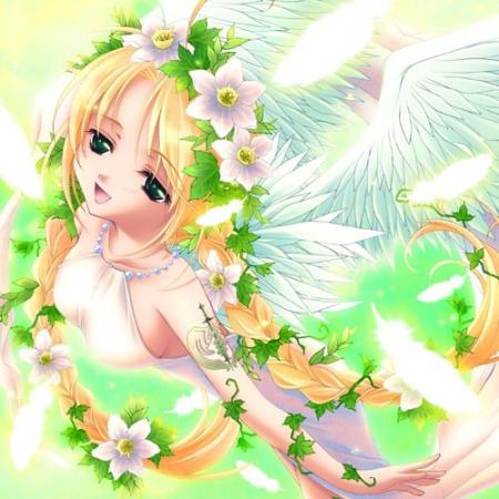 belle fleurs